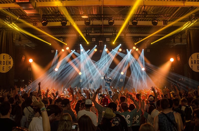 Audience at a concert